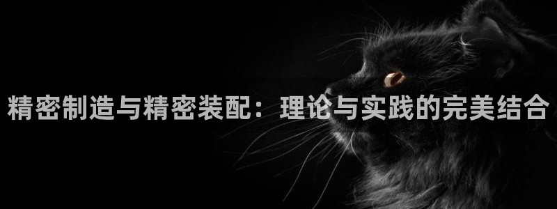 彩神v违法么：精密制造与精密装配：理论与实践的完美结合