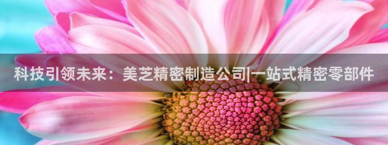 彩神赢钱了吗：科技引领未来：美芝精密制造公司|一站式精密零部件
