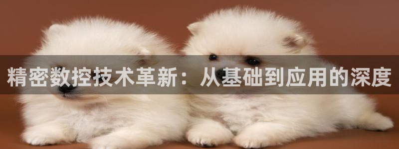 彩神骗局：精密数控技术革新：从基础到应用的深度