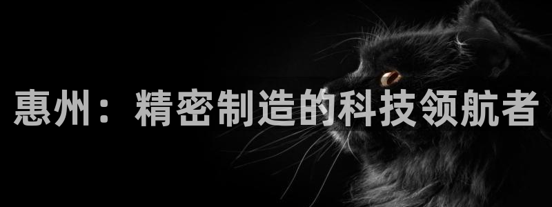 彩神vi争霸官网：惠州：精密制造的科技领航者