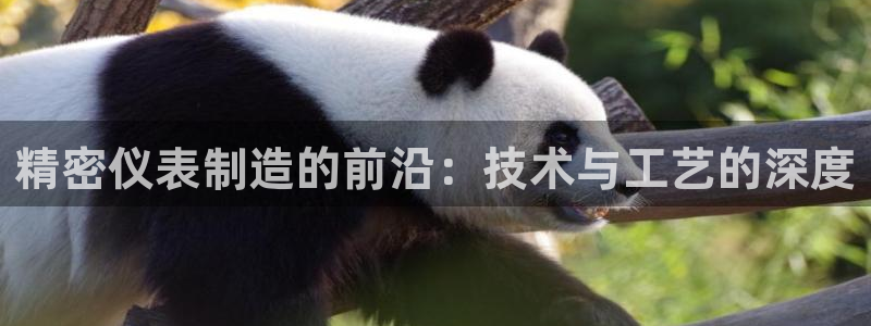 v大发彩神8iii：精密仪表制造的前沿：技术与工艺的深度