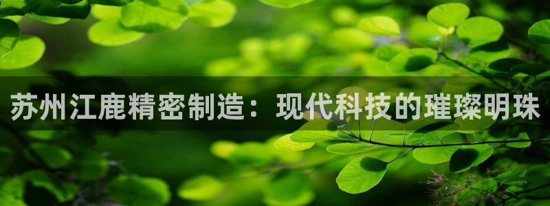 彩神ix能赚钱吗：苏州江鹿精密制造：现代科技的璀璨明珠