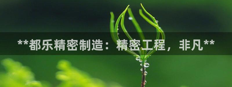 彩神赢钱了吗是真的吗：**都乐精密制造：精密工程，非凡**