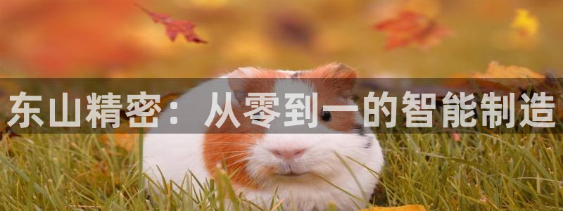 彩神旗下有哪些平台：东山精密：从零到一的智能制造