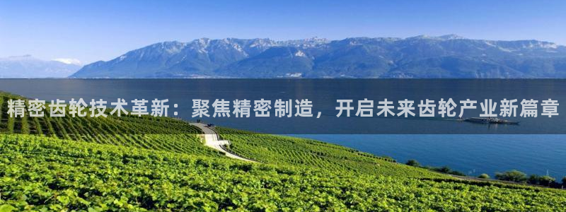 彩神vⅲ下载安装：精密齿轮技术革新：聚焦精密制造，开启未来齿轮产业新篇章