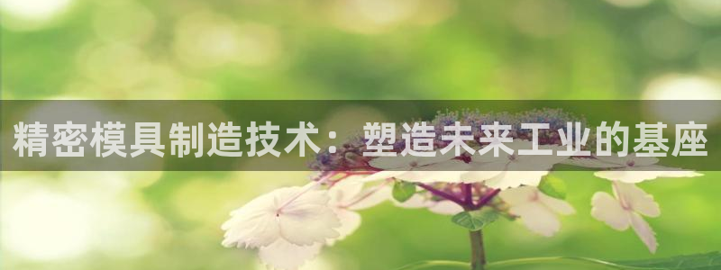 v彩神88iii：精密模具制造技术：塑造未来工业的基座