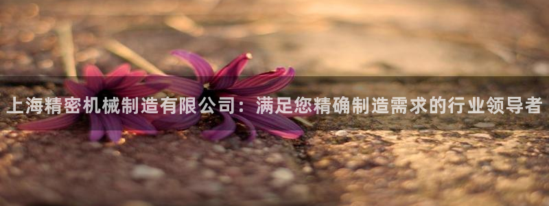 彩神v|：上海精密机械制造有限公司：满足您精确制造需求的行业领导者