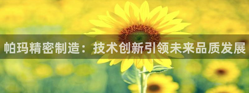 彩神大发云：帕玛精密制造：技术创新引领未来品质发展