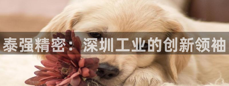 彩神大发如何观察走势：泰强精密：深圳工业的创新领袖