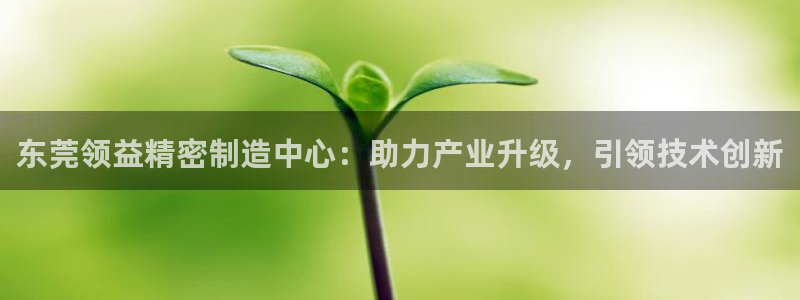 彩神大发云：东莞领益精密制造中心：助力产业升级，引领技术创新