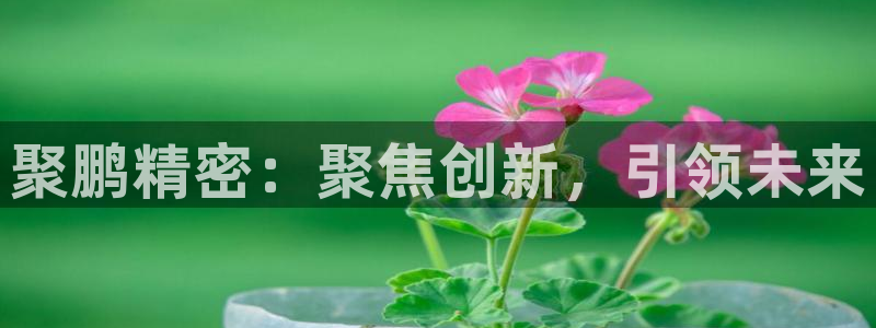 彩神争霸老平台：聚鹏精密：聚焦创新，引领未来