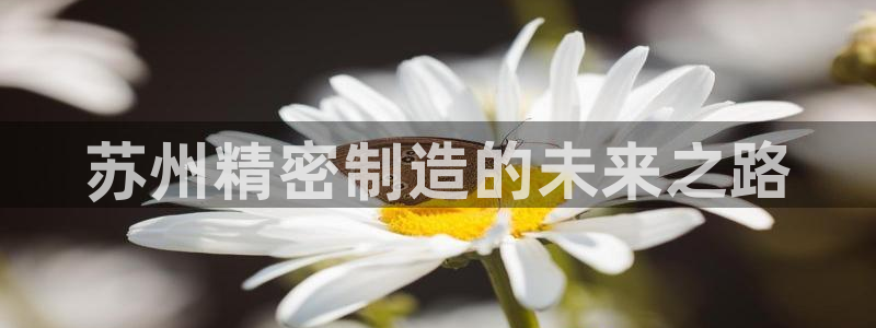 彩神v8是真的挣钱吗安全吗：苏州精密制造的未来之路