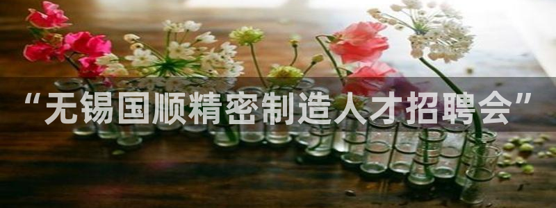 彩神用户登录：“无锡国顺精密制造人才招聘会”