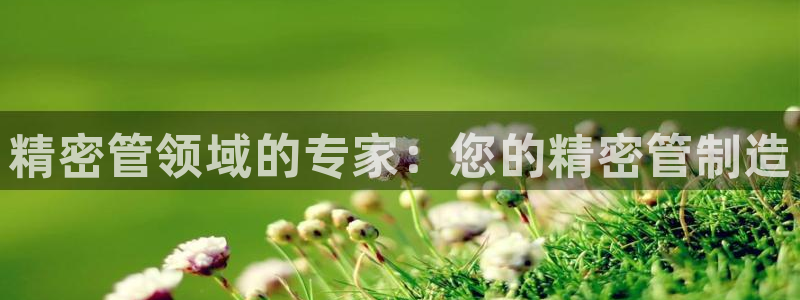 彩神v8手机客户端怎么下载：精密管领域的专家：您的精密管制造