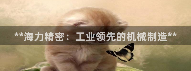 下载彩神通关注码