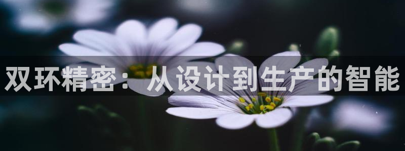 彩神是正规平台吗安全吗：双环精密：从设计到生产的智能