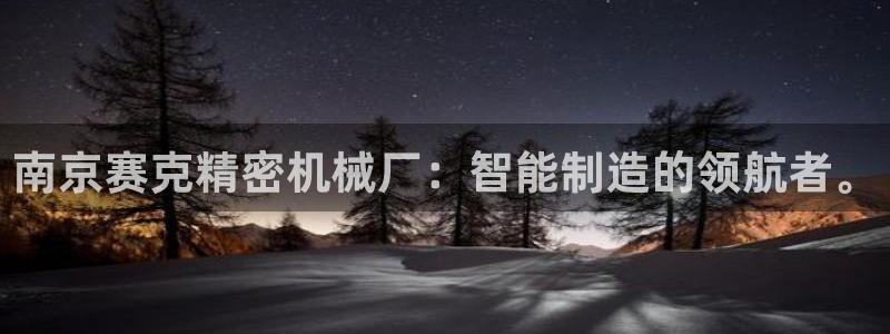 彩神vii购彩l心：南京赛克精密机械厂：智能制造的领航者。