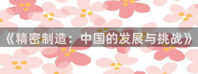 彩神V集团有限公司：《精密制造：中国的发展与挑战》