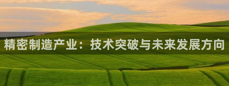 彩神大发黑平台：精密制造产业：技术突破与未来发展方向