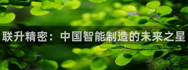 下载彩神通关注码：联升精密：中国智能制造的未来之星