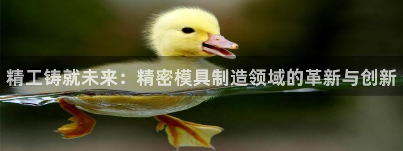 彩神v天天：精工铸就未来：精密模具制造领域的革新与创新