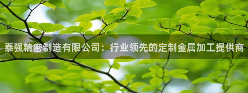 彩神v8是真的挣钱吗安全吗：泰强精密制造有限公司：行业领先的定制金属加工提供商