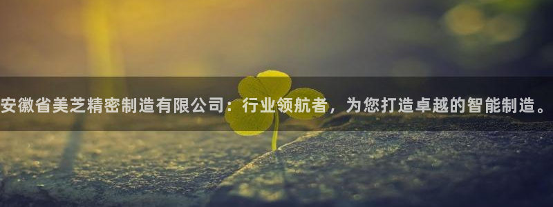 彩神平台是什么套路：安徽省美芝精密制造有限公司：行业领航者，为您打造卓越的智能制造。