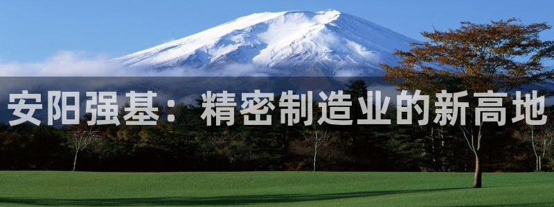 彩神v8下载app：安阳强基：精密制造业的新高地