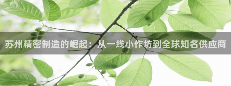 彩神大发cp：苏州精密制造的崛起：从一线小作坊到全球知名供应商