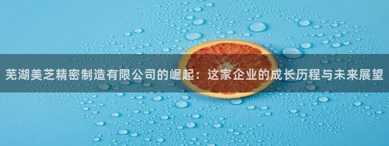 彩神争霸官网登录平台：芜湖美芝精密制造有限公司的崛起：这家企业的成长历程与未来展望