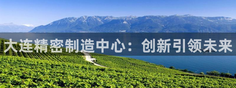 彩神v8首页：大连精密制造中心：创新引领未来