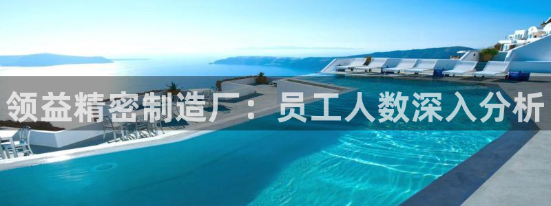 天天赢彩神：领益精密制造厂：员工人数深入分析