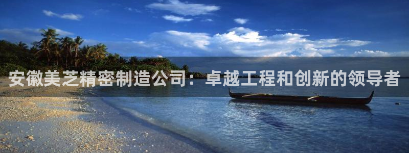 彩神Vll购彩大厅：安徽美芝精密制造公司：卓越工程和创新的领导者