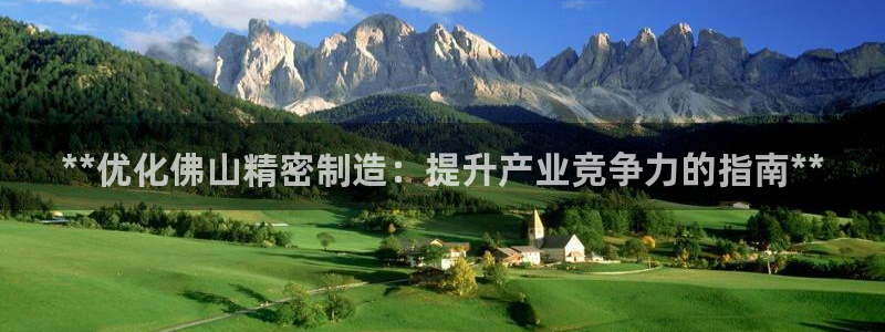 彩神V8有限公司：**优化佛山精密制造：提升产业竞争力的指南**