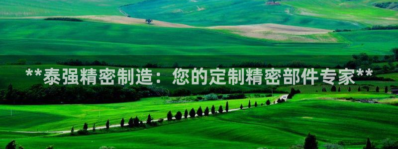 彩神平台可以破解吗：**泰强精密制造：您的定制精密部件专家**