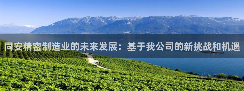 新版彩神v8登录不上去：同安精密制造业的未来发展：基于我公司的新挑战和机遇