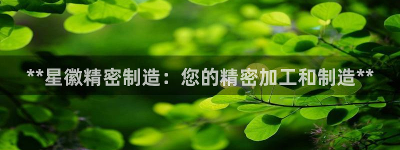 彩神盈利图片：**星徽精密制造：您的精密加工和制造**