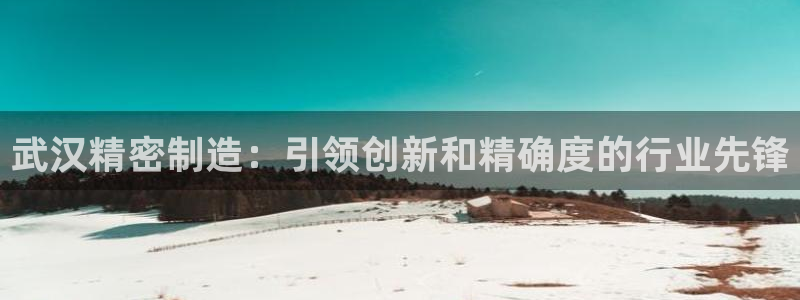 彩神v下载安装：武汉精密制造：引领创新和精确度的行业先锋