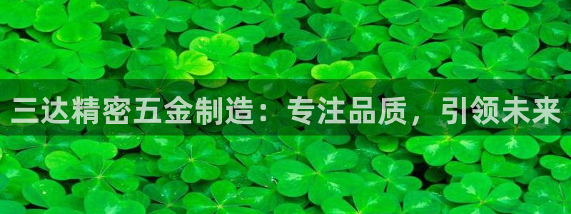 彩神赢了钱登录不上去：三达精密五金制造：专注品质，引领未来