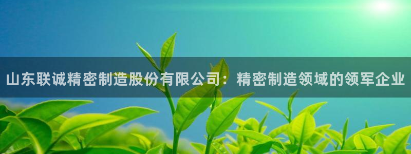 彩神8官网版是正规的吗：山东联诚精密制造股份有限公司：精密制造领域的领军企业
