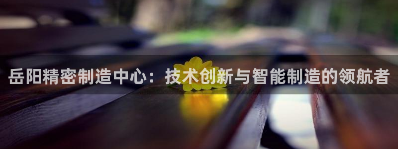 天天彩神welcome：岳阳精密制造中心：技术创新与智能制造的领航者