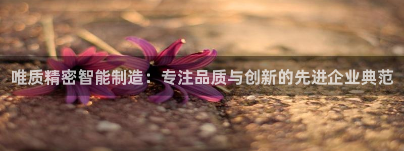 彩神V购彩大厅：唯质精密智能制造：专注品质与创新的先进企业典范