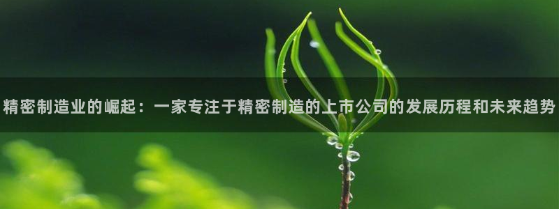 彩神v秘聊号码：精密