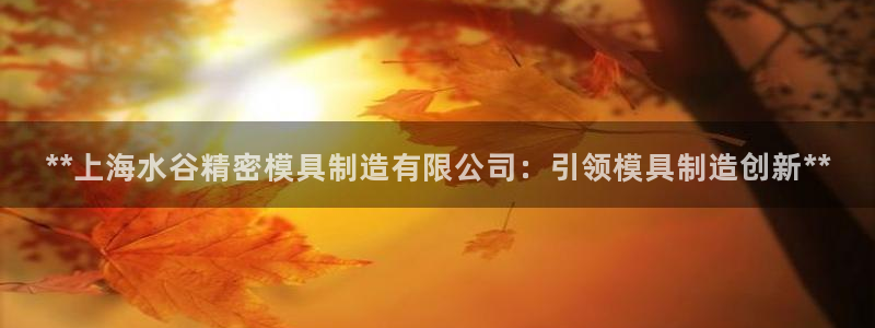 彩神官方网站登录是多少：**上海水谷精密模具制造有限公司：引领模具制造创新**