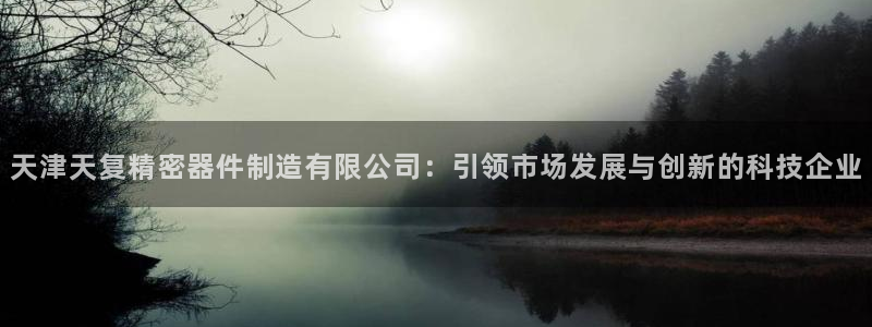 彩神数码科技有限公司：天津天复精密器件制造有限公司：引领市场发展与创新的科技企业