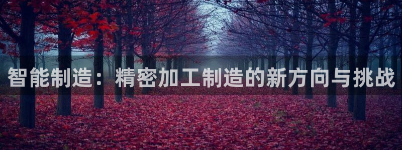 彩神争霸官方下载2017：智能制造：精密加工制造的新方向与挑战